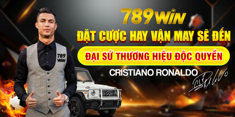 Khởi đầu khó khăn của 789Win và dần trở thành nhà cái số 1 Việt Nam